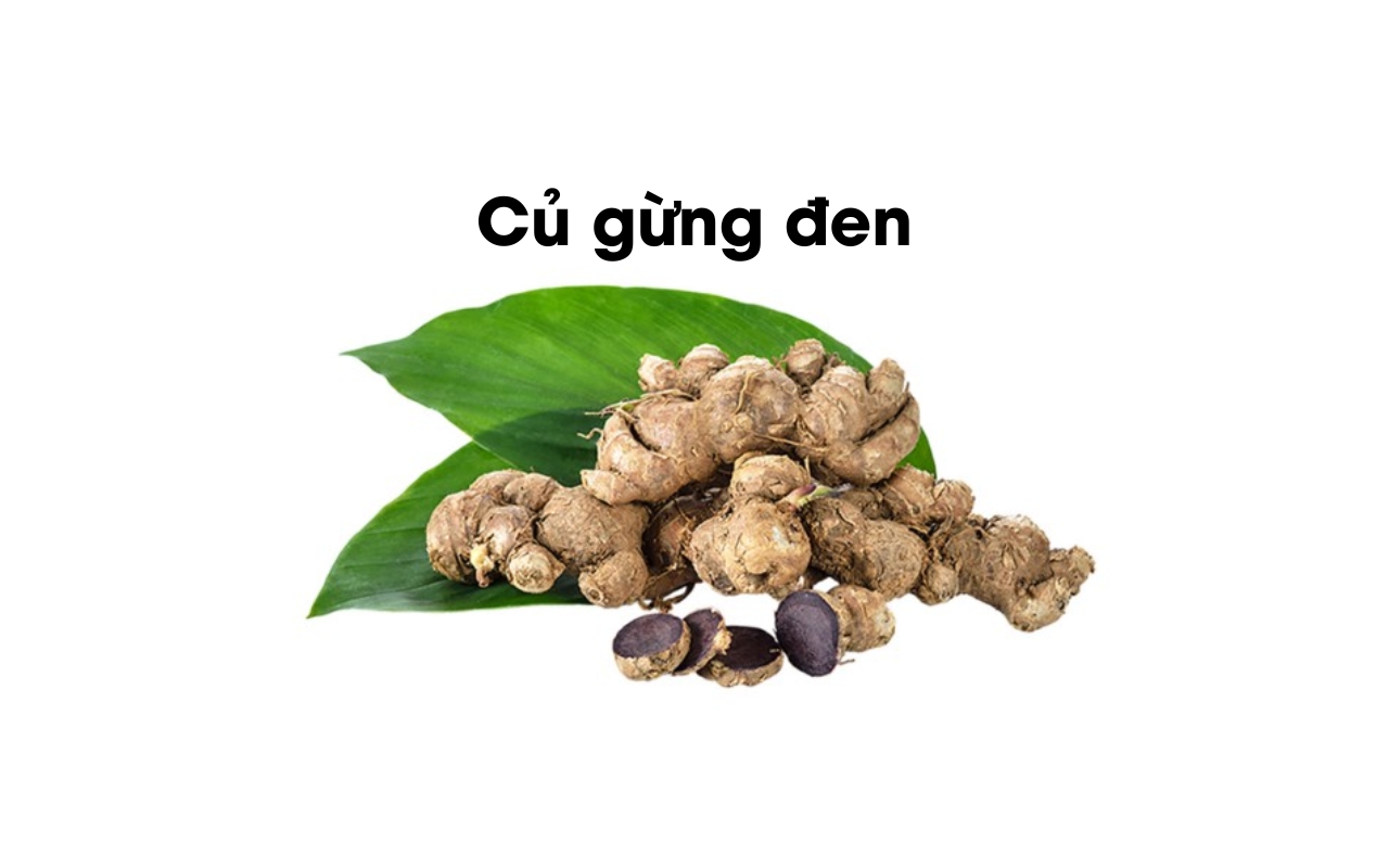 Củ Gừng Đen: Gia Vị Quý Từ Thiên Nhiên