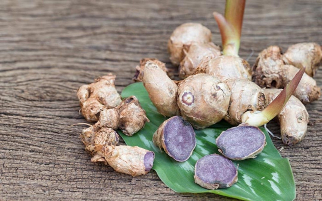 Gừng Đen: Khám Phá Bí Ẩn Của Gừng Đen