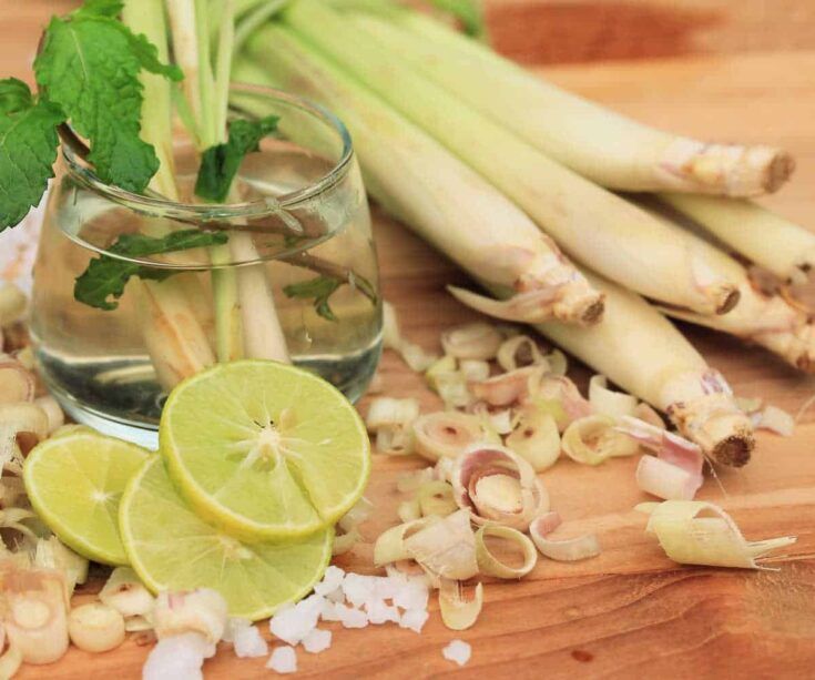 Gừng sả chanh có tác dụng gì? Lợi ích và cách pha chế