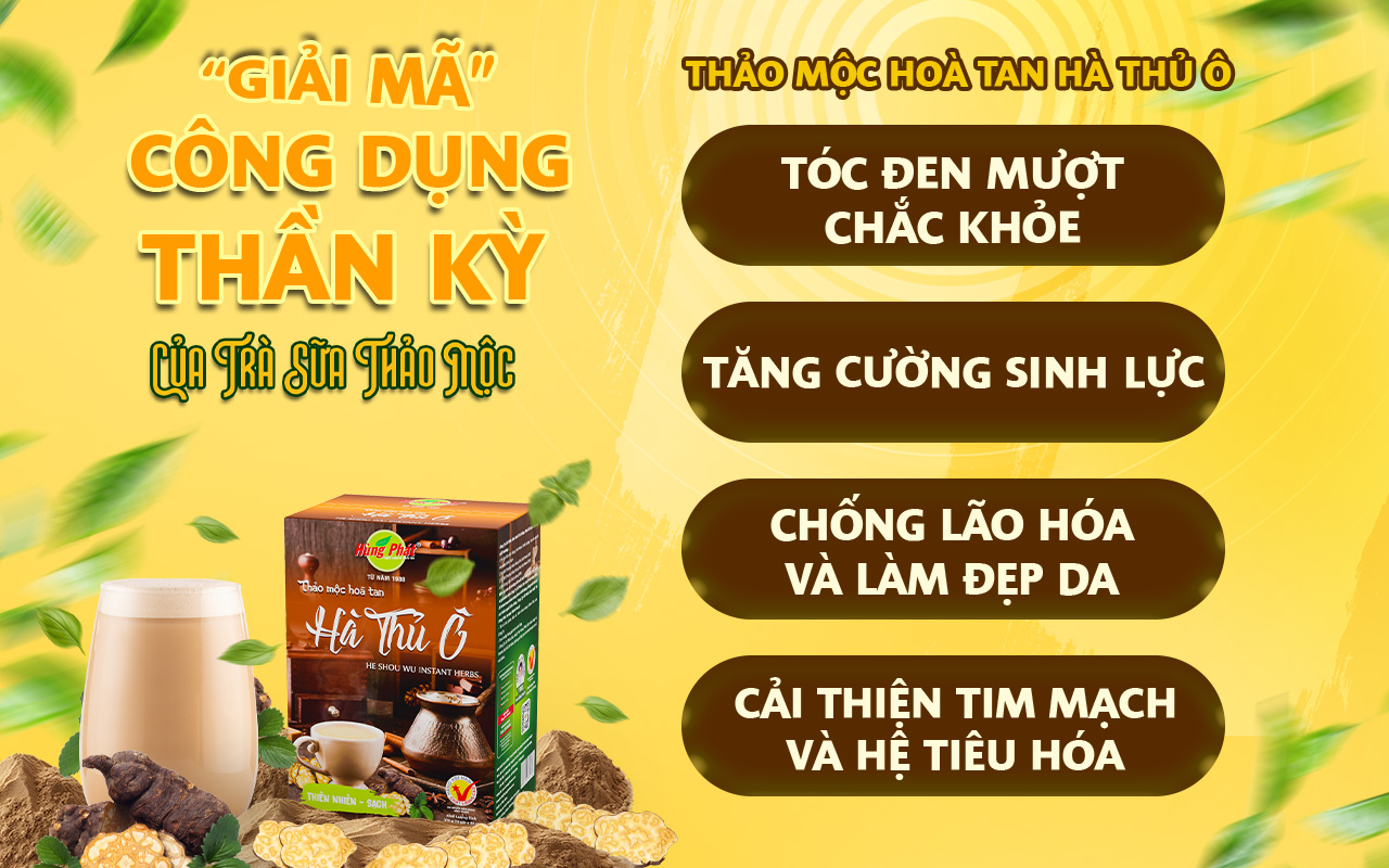 Giải Mã Công Dụng Thần Kỳ Và Hướng Dẫn Chi Tiết Cách Pha Trà Sữa Thảo Mộc Hùng Phát