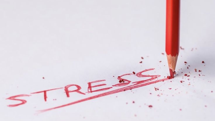 Căng thẳng, mất ngủ, phải làm sao để ngủ ngon hơn?