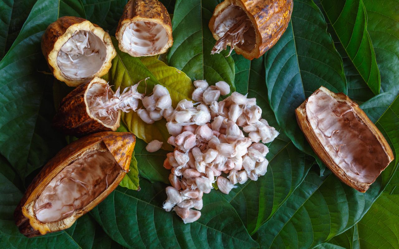 Cách pha cacao với sữa đặc chuẩn vị, thơm ngon