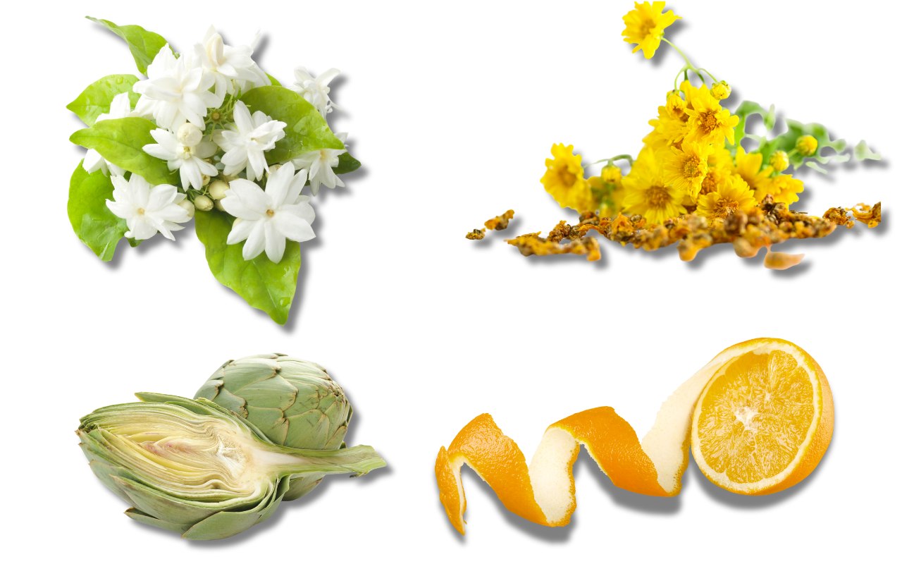 Làm Trà Túi Lọc Tại Nhà – Hướng Dẫn Chi Tiết, Tiện Lợi, Tiết Kiệm