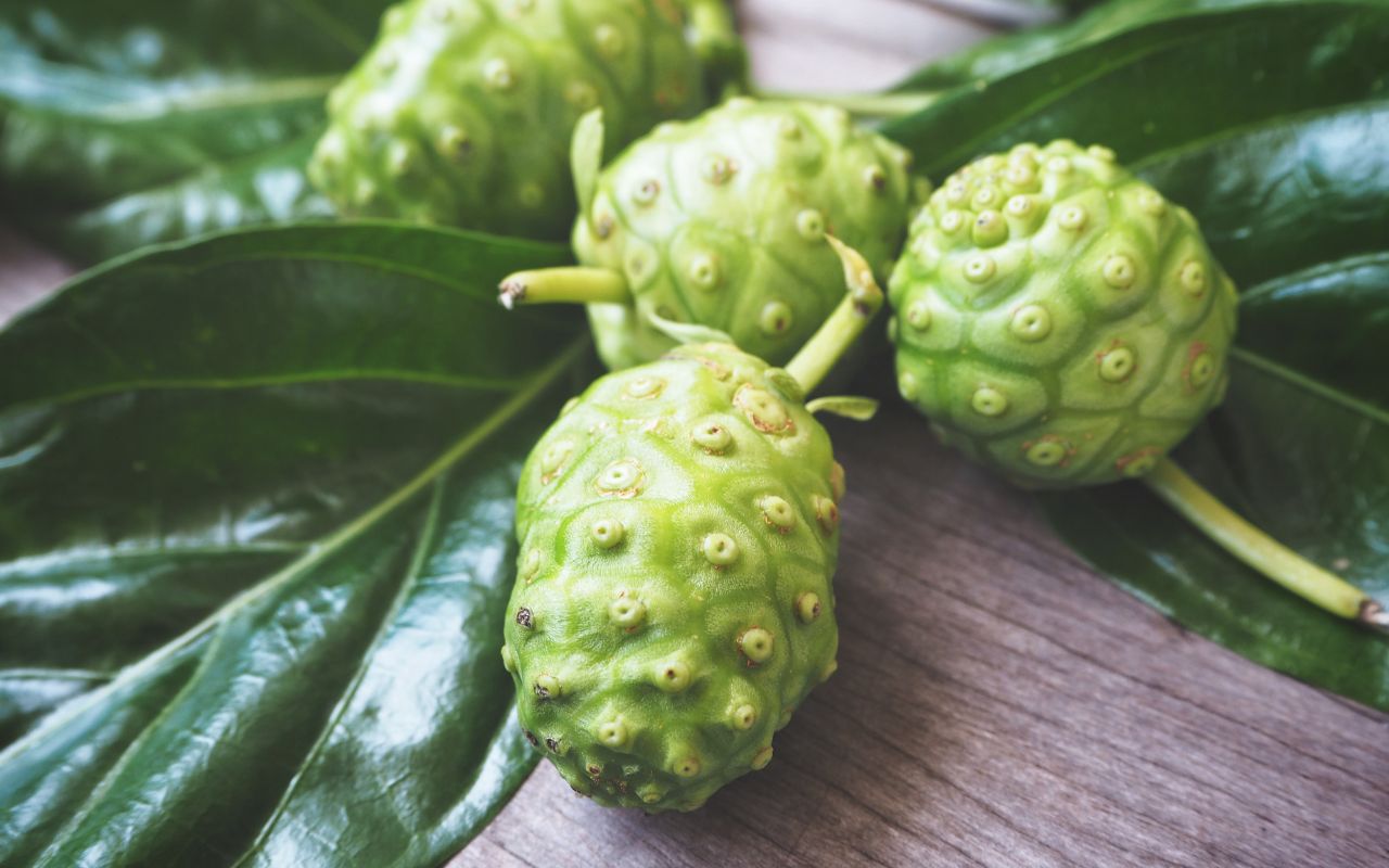 Trái nhàu tốt cho tim mạch: Lợi ích và cách sử dụng hiệu quả