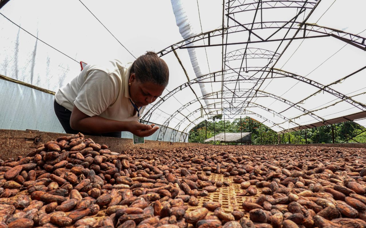 Cách pha bột cacao đá ngon, đơn giản tại nhà
