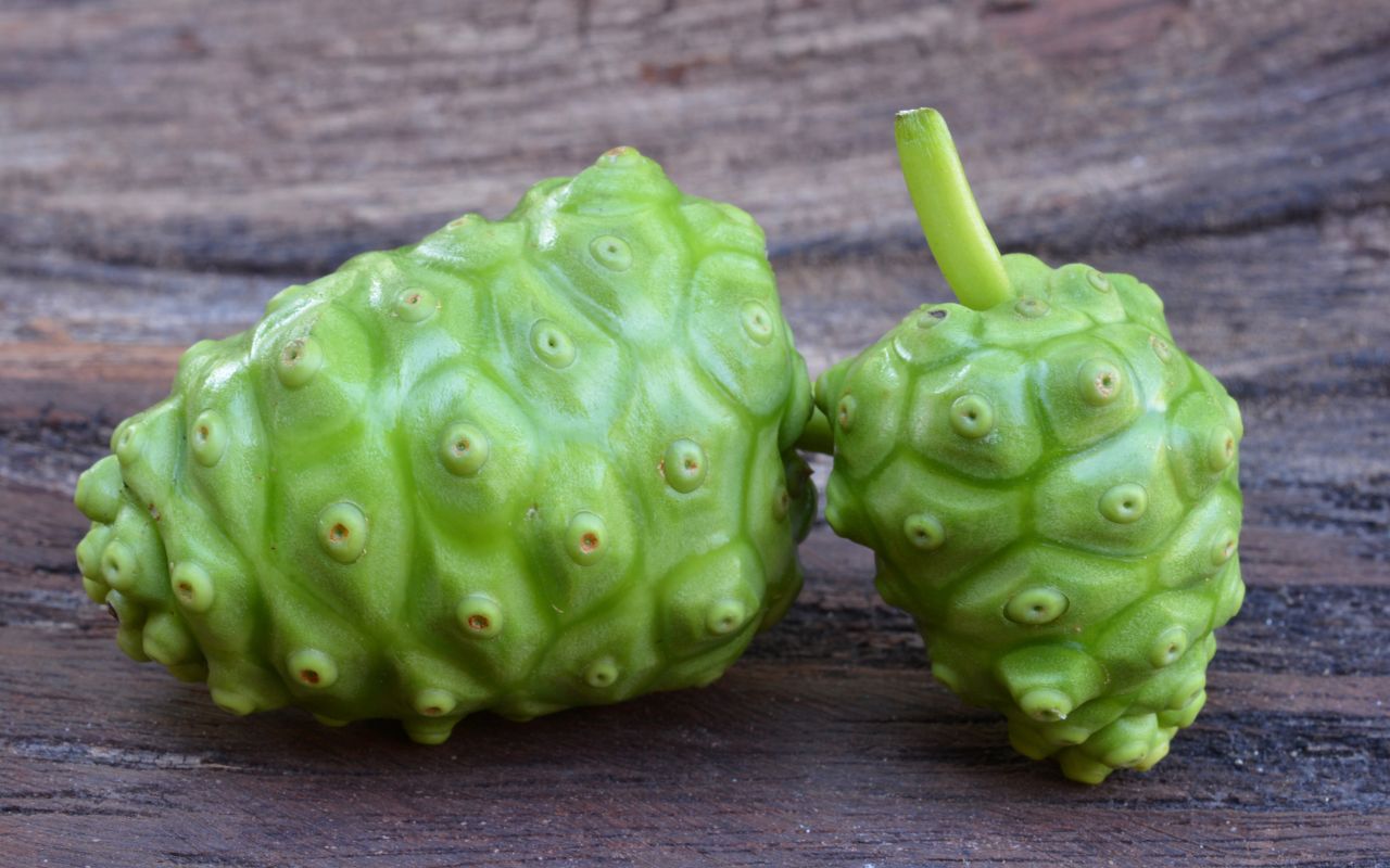 Trái nhàu hỗ trợ tiêu hóa: Giải pháp tự nhiên cho hệ tiêu hóa khỏe mạnh