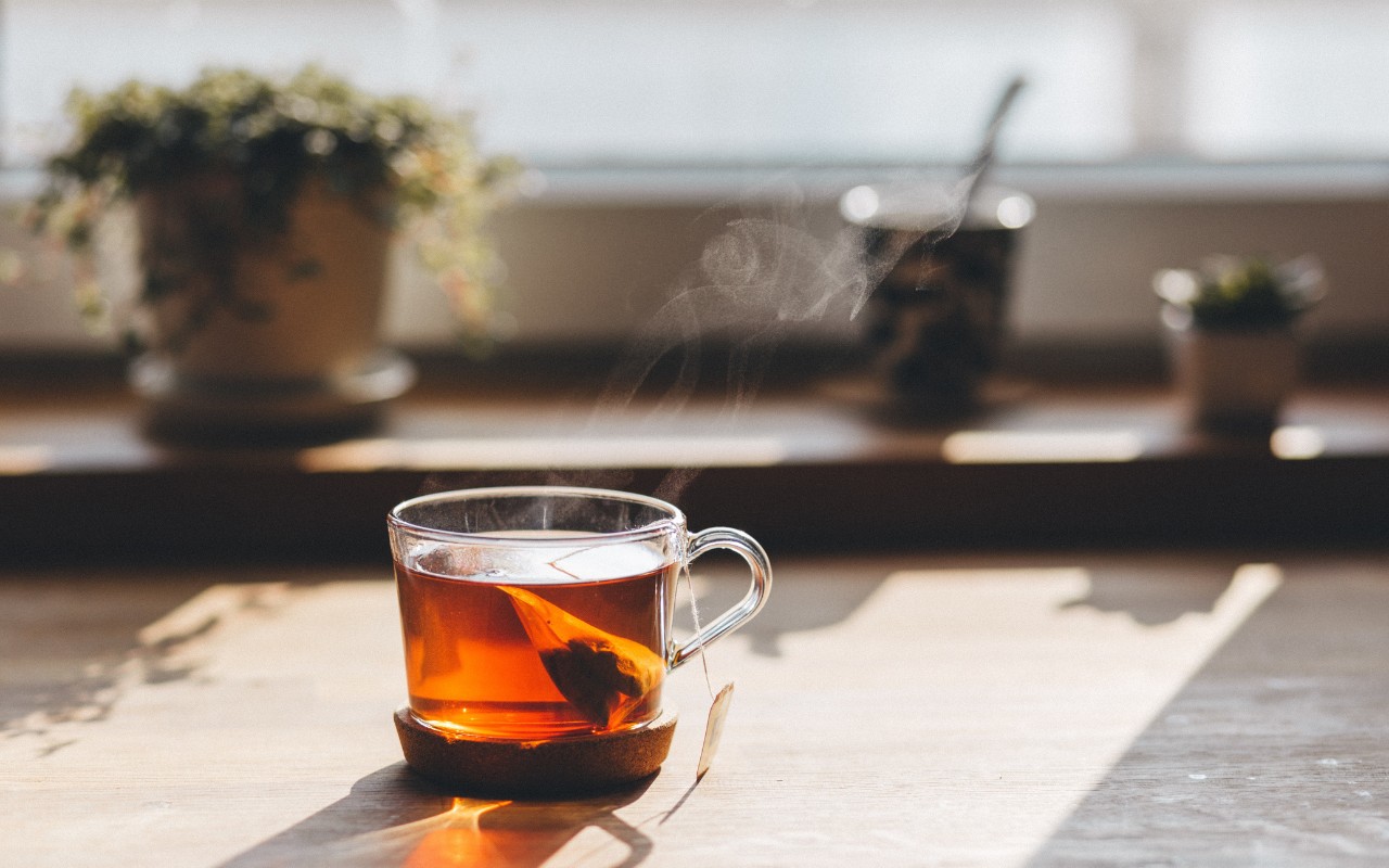 Trà Túi Lọc Cà Gai Leo – Hỗ Trợ Sức Khỏe Gan