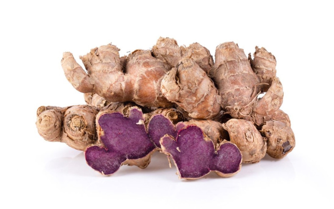 Gừng Đen: Khám Phá Bí Ẩn Của Gừng Đen