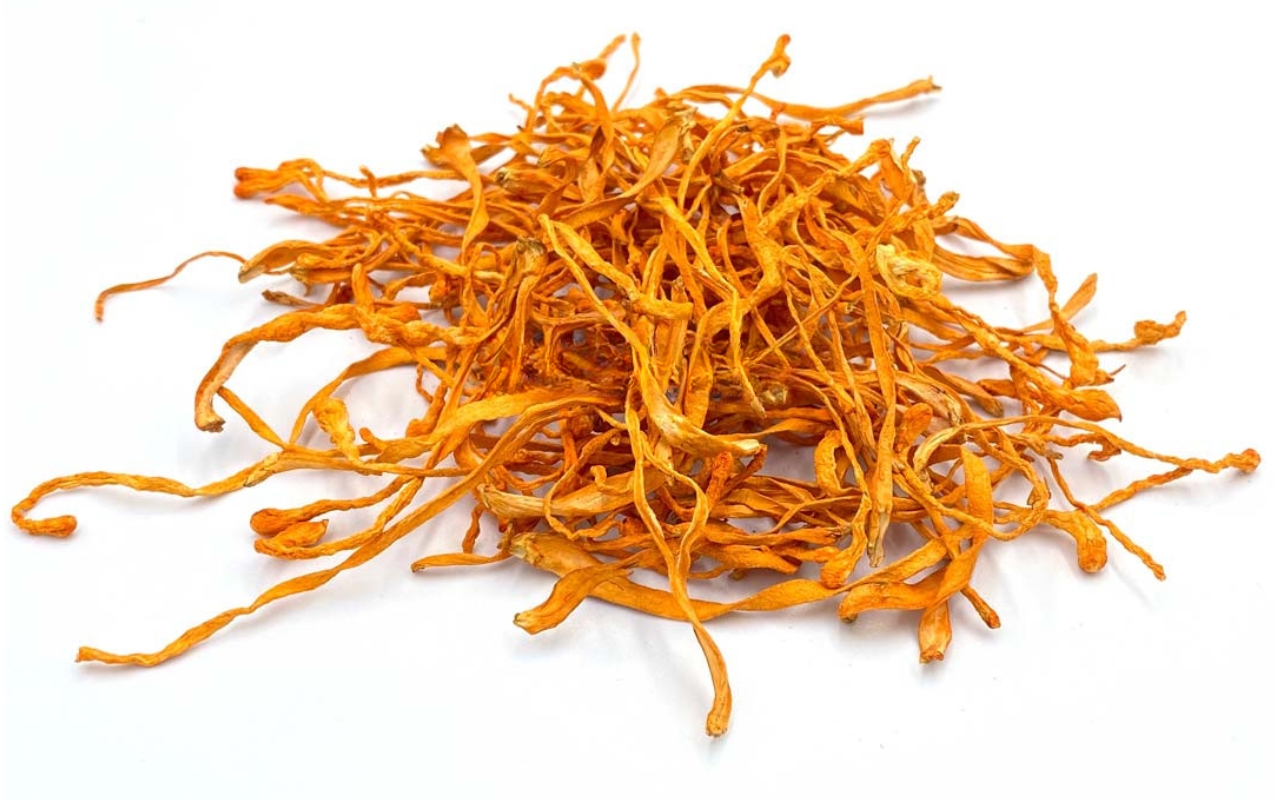 Trà Túi Lọc Đông Trùng Hạ Thảo: Đông Trùng Hạ Thảo Quý Hiếm Trong Túi Lọc