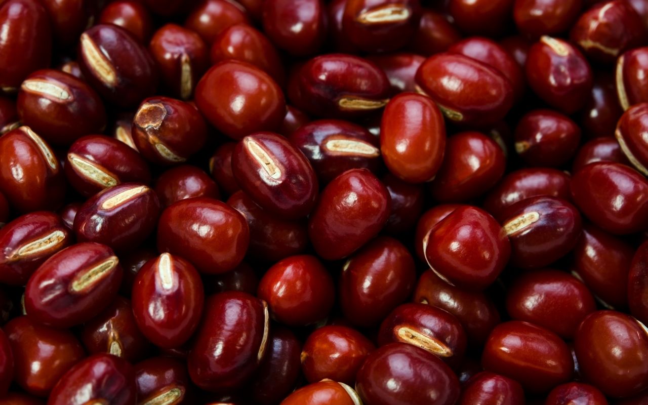 Xay Bột Ngũ Cốc Ở Đâu Chất Lượng?