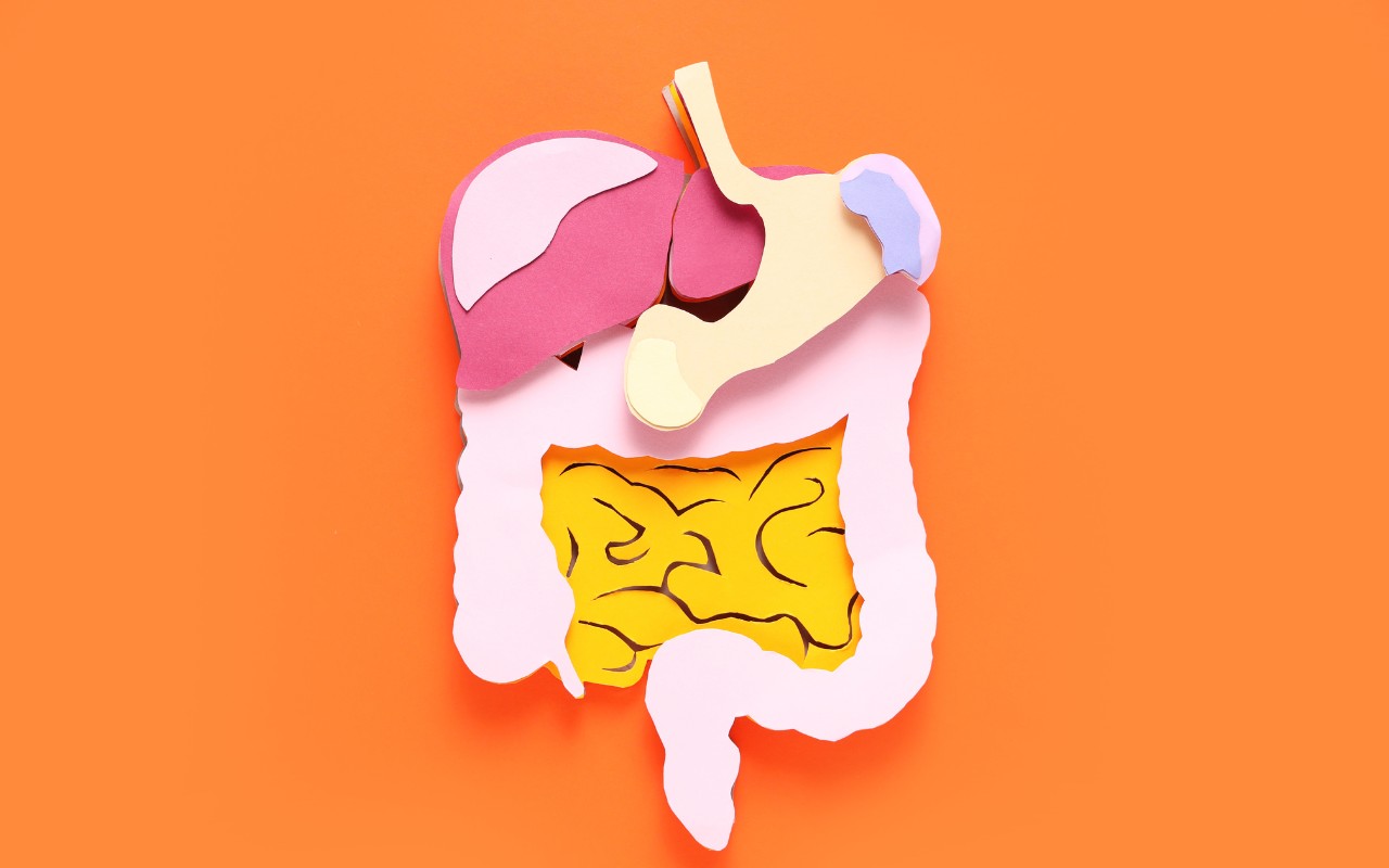 Tác Dụng Của Hạt Sen – Bồi Bổ Sức Khỏe Hiệu Quả