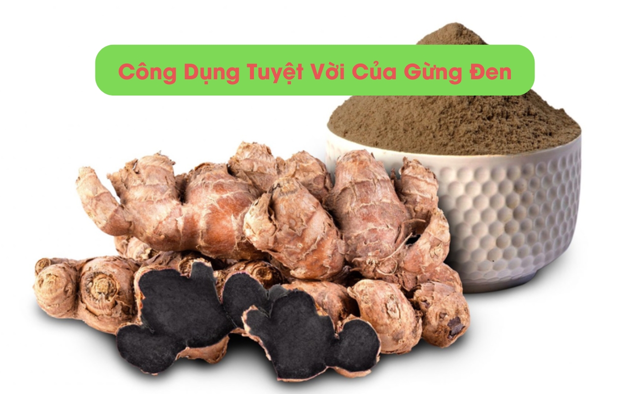 Gừng Đen: Khám Phá Bí Ẩn Của Gừng Đen