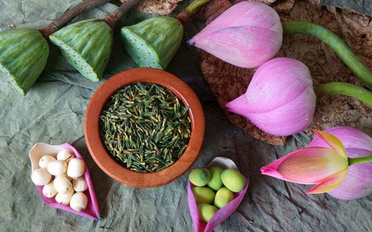 Tác Dụng Của Tim Sen – Giấc Ngủ Ngon Hơn Mỗi Đêm