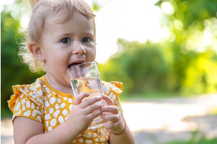 Hồng Sâm Hàn Quốc Cho Trẻ Em – Khi Nào Nên Sử Dụng? Giải Đáp Từ Chuyên Gia