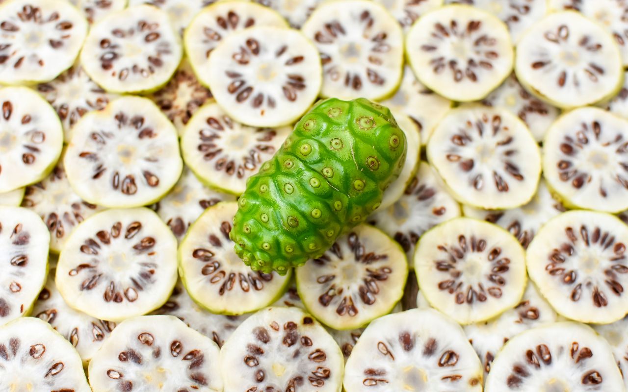 Lá nhàu và tác dụng chữa bệnh của nó