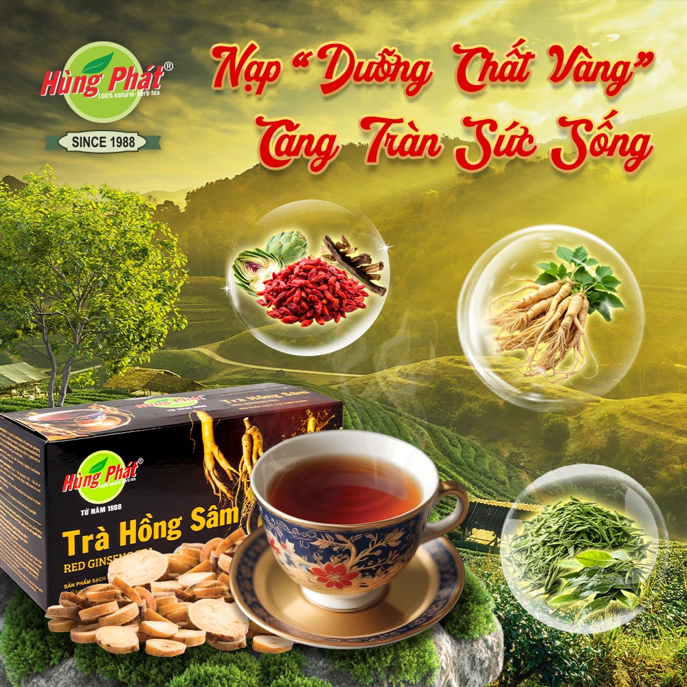 Thực Phẩm Giúp Tăng Cường Sinh Lực Nam Giới Tự Nhiên