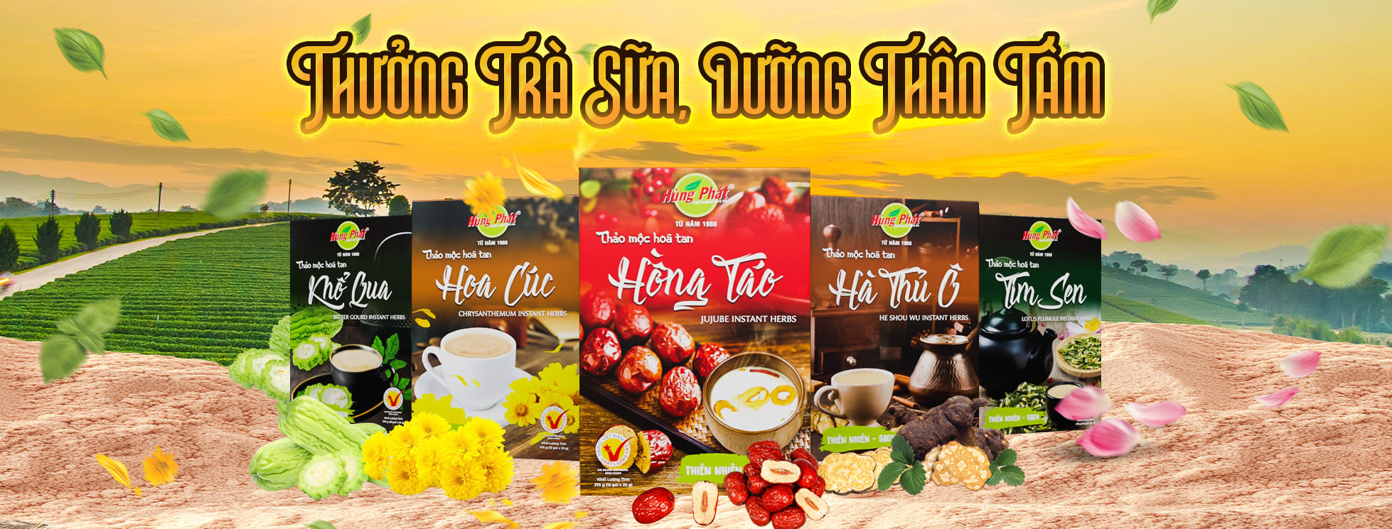 Lý Do Nên Detox Nhẹ Mỗi Ngày Bằng Trà Sữa Thảo Mộc Hùng Phát