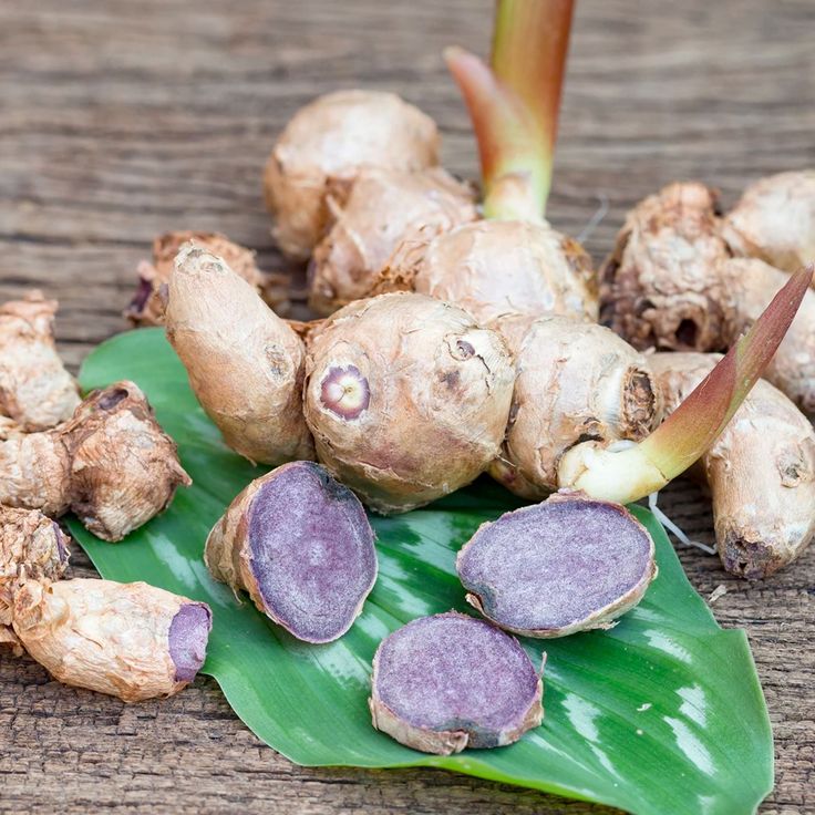 Gừng đen có tác dụng gì? Công dụng đặc biệt đối với sức khỏe