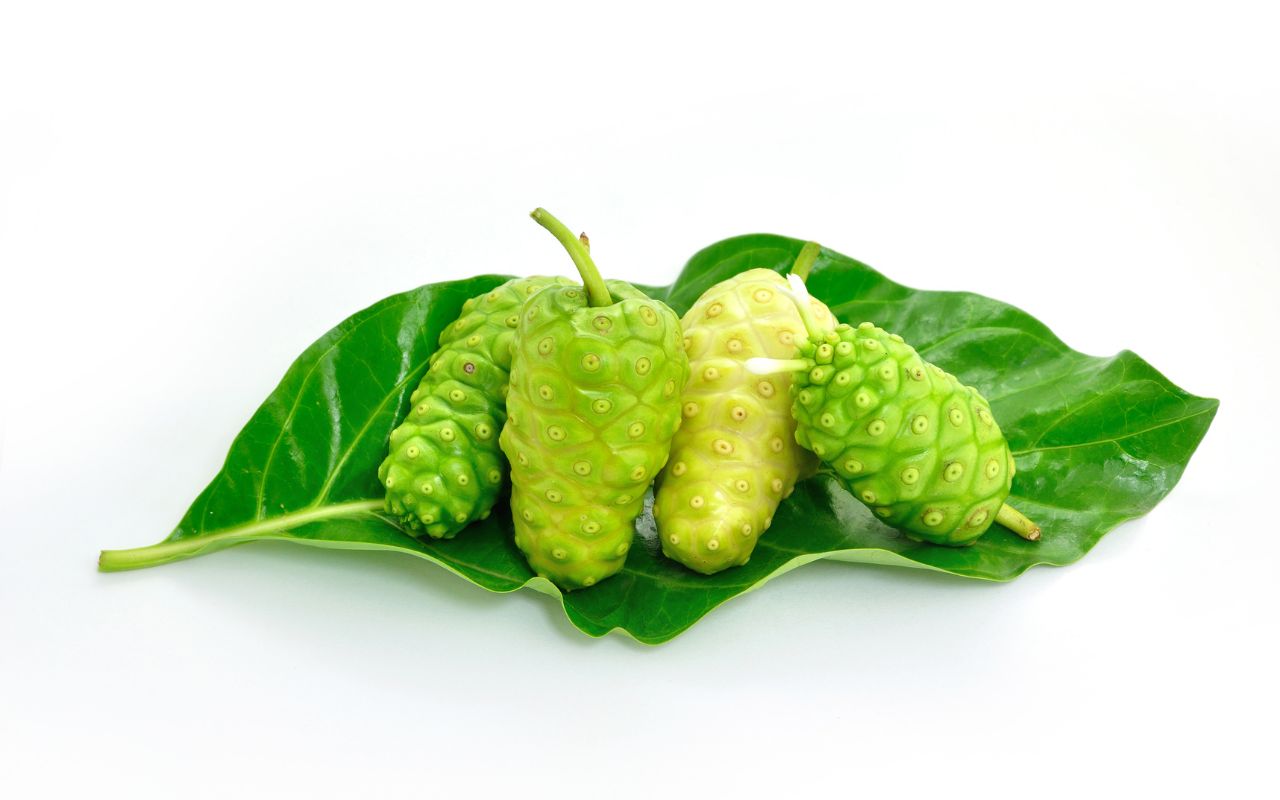 Quả nhàu và tác dụng của nó đối với sức khỏe