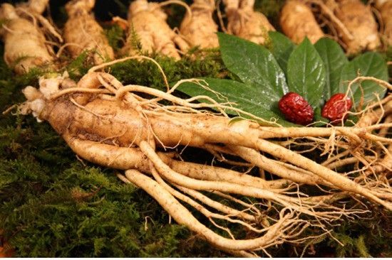 Hồng Sâm Uống Lúc Nào Tốt Nhất Trong Ngày?