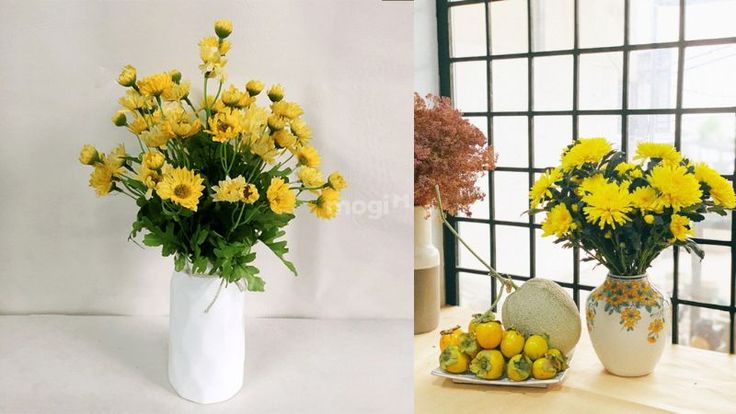 Hoa cúc tượng trưng cho điều gì? Ý nghĩa trong văn hóa và phong thủy