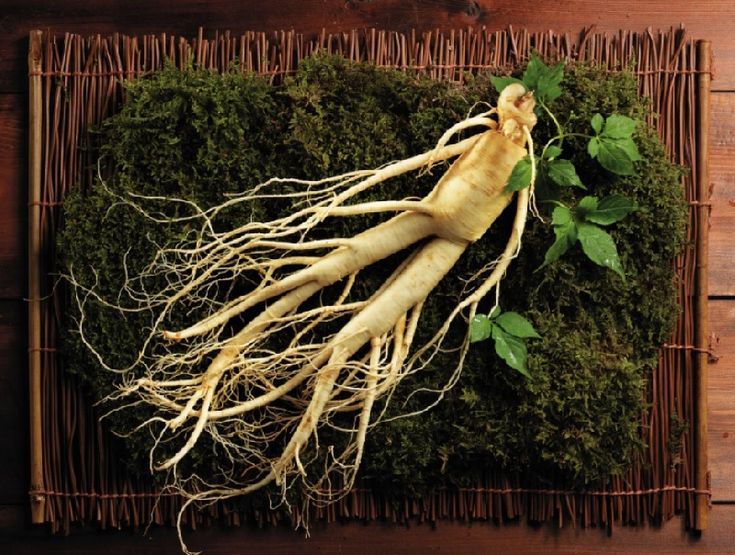 Hồng Sâm và Hắc Sâm: So Sánh Chi Tiết, Chọn Loại Nào Tốt Hơn?