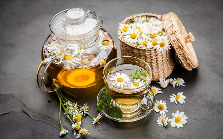 Hoa cúc có tác dụng gì? Lợi ích sức khỏe và công dụng làm đẹp