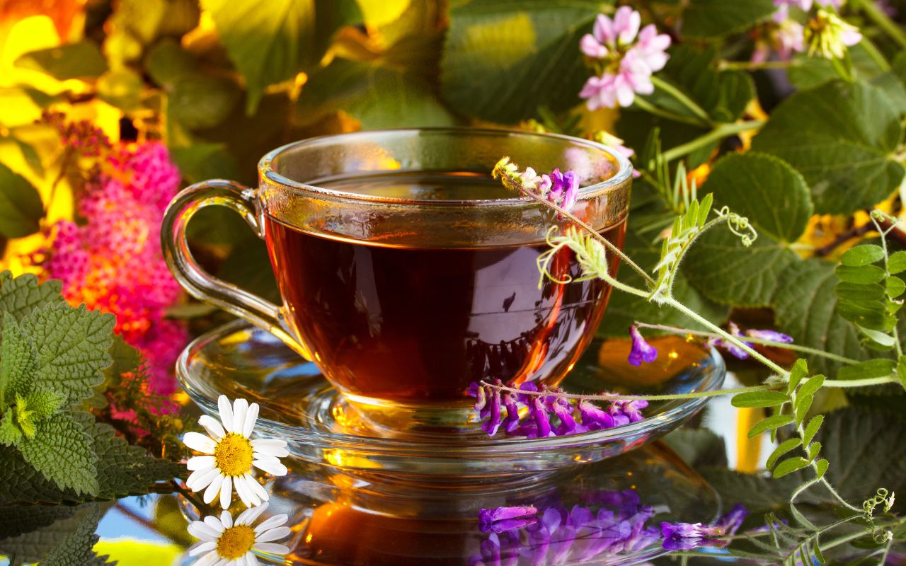 Uống trà thảo mộc có cần theo liệu trình không?