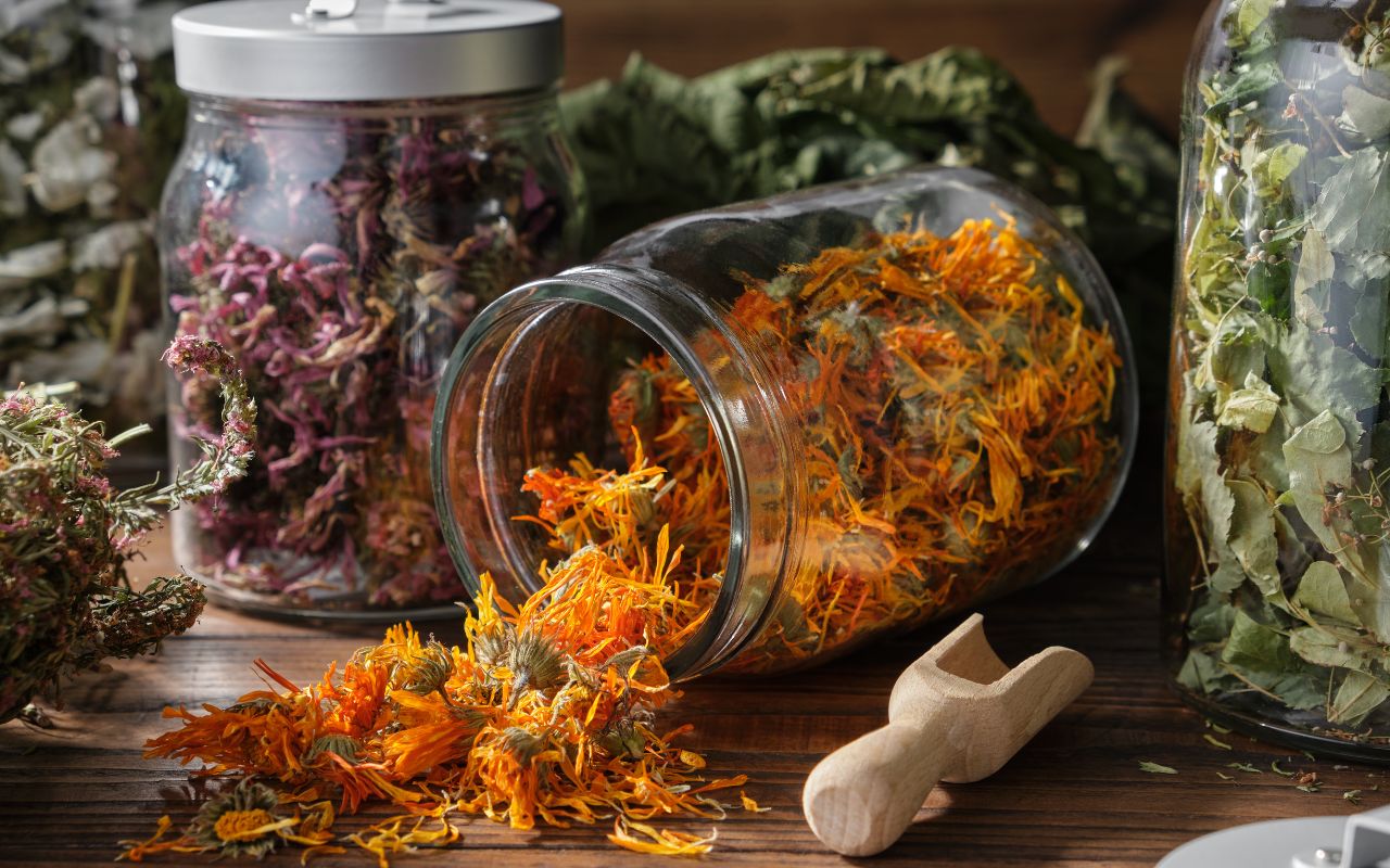 Trà thảo mộc giá tốt nhưng hiệu quả