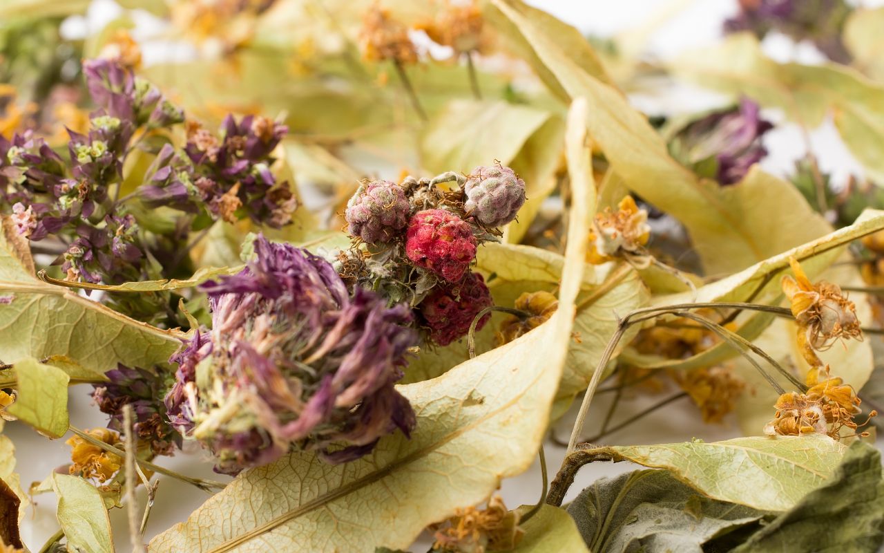 Trà Thảo Mộc Gây Mất Cân Bằng Điện Giải? Sự Thật Là Gì?