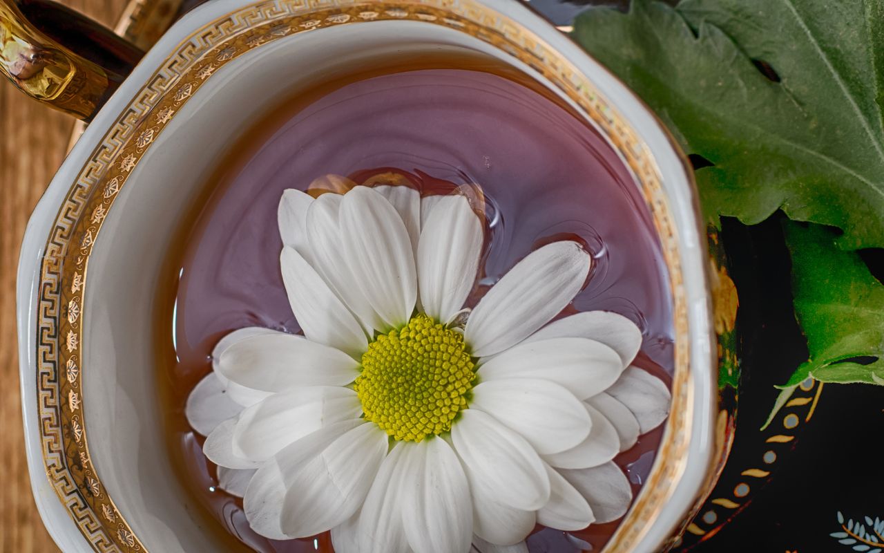 Trà Thảo Mộc Ảnh Hưởng Đến Gan: Lưu Ý Và Phòng Ngừa