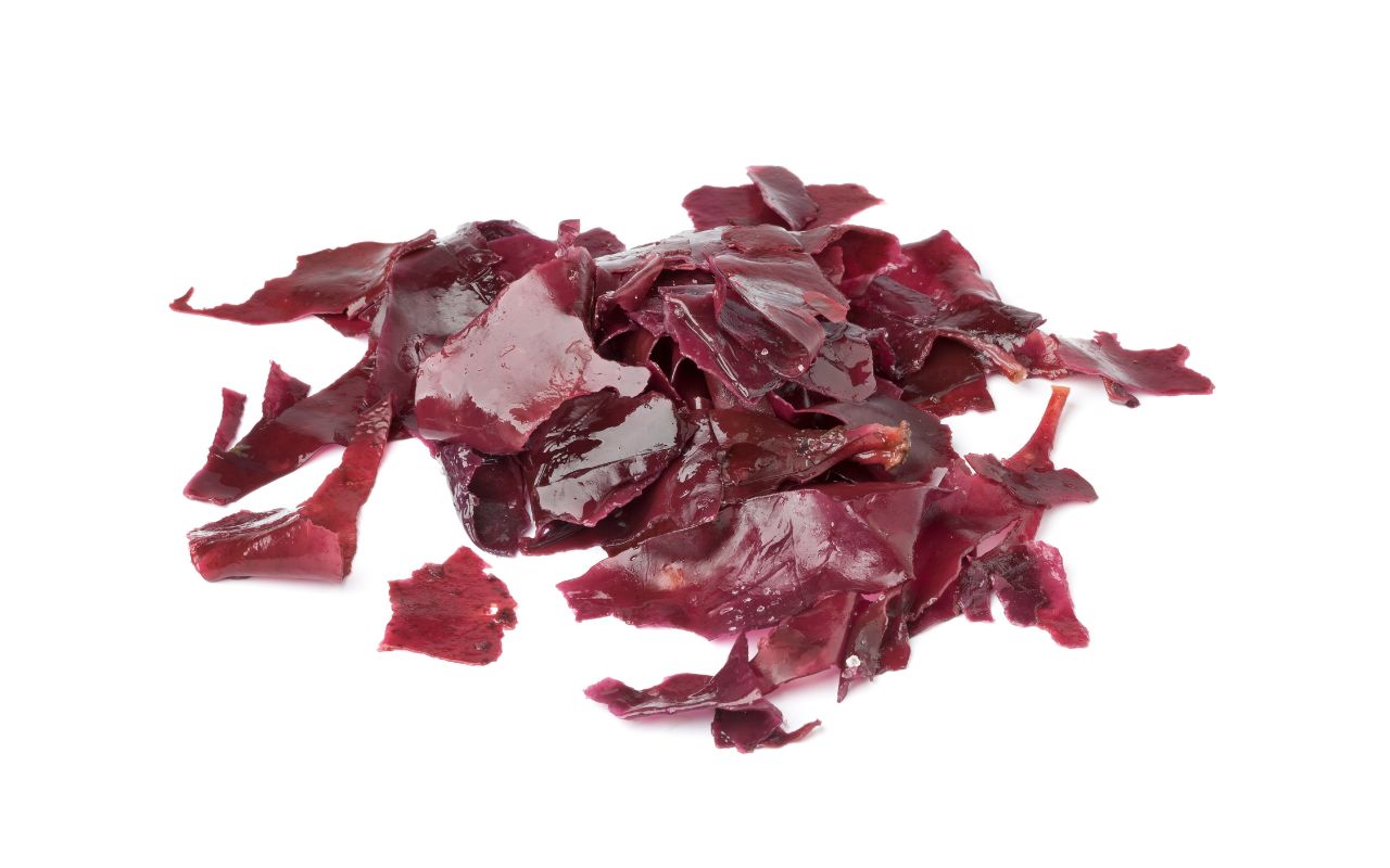 Dulse (Tảo biển đỏ) và Tác Dụng Chống Viêm: Khám Phá Chi Tiết