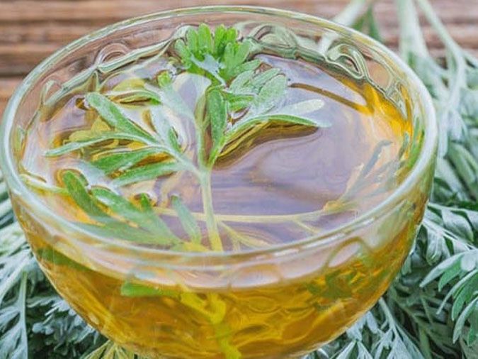 Gừng Muối Ngải Cứu Chữa Được Bệnh Gì? Công Dụng Và Cách Sử Dụng