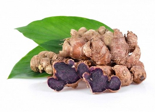 Gừng đen có tác dụng gì? Công dụng đặc biệt đối với sức khỏe