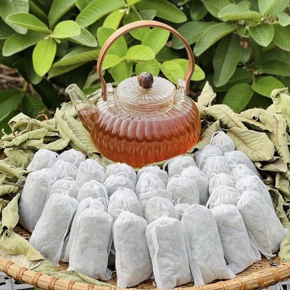 Lá Ổi Trị Được Bệnh Gì? Những Lợi Ích Sức Khỏe Bất Ngờ Từ Lá Ổi