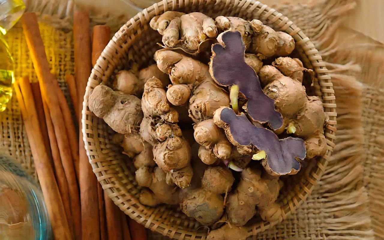 GIÁ GỪNG ĐEN HÔM NAY: BÍ QUYẾT MUA GỪNG ĐEN CHẤT LƯỢNG, AN TOÀN & HIỆU QUẢ