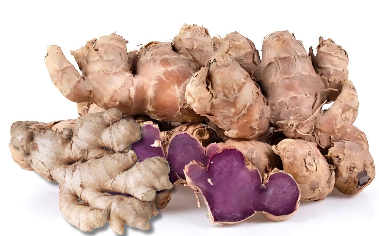 CỦ GỪNG ĐEN: BÍ MẬT SỨC KHỎE & CÔNG DỤNG TUYỆT VỜI