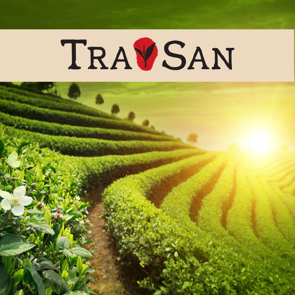 TRASAN – Hương vị trà Việt thanh khiết và an nhiên