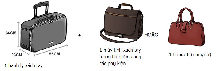 Hành lý đi máy bay quy định như thế nào?