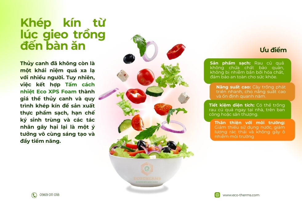 Tấm ECO XPS FOAM tạo môi trường lý tưởng cho mô hình aquaponics, cách nhiệt tốt, tiết kiệm năng lượng, thân thiện với môi trường