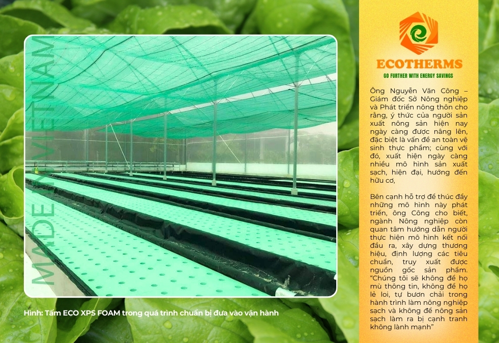 Khả năng chống thấm vượt trội của tấm ECO XPS FOAM bảo vệ cây trồng, ngăn ngập úng hiệu quả