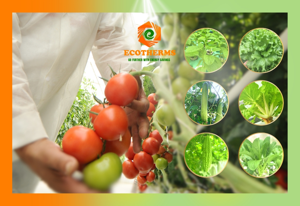 ứng dụng tấm bè nổi làm bằng vật liệu cách nhiệt Xốp ECO XPS FOAM vào mô hình thủy canh và aquaponics của mình. Sự kết hợp này không chỉ nâng cao hiệu quả sản xuất giúp tiết kiệm chi phí tiêu thụ năng lượng và gia tăng lợi nhuận, mà còn tạo ra một môi trường lý tưởng cho sự phát triển của các loại rau củ quả.