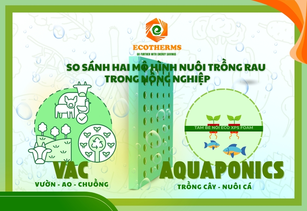 ỨNG DỤNG TẤM BÈ NỔI ECO XPS TRONG MÔ HÌNH Aquaponics: Thích hợp cho các khu vực đô thị, tiết kiệm nước, giảm phát thải, và sản xuất thực phẩm sạch ngay tại chỗ, phù hợp với người tiêu dùng muốn thực phẩm tươi.