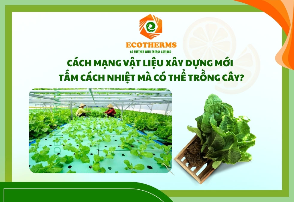 Tấm bè nổi ECO XPS FOAM thân thiện môi trường, giảm chi phí vận hành cho hệ thống trồng rau