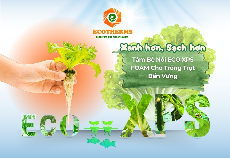 Aquaponics hiện đại có thể tận dụng Tấm bè nổi ECO XPS FOAM để tăng hiệu quả trồng rau nuôi cá. Với khả năng nổi, tấm này cho phép cây phát triển ngay trên mặt nước mà không cần đất, tối ưu hóa không gian. Đồng thời, ECO XPS FOAM giúp giảm thất thoát nước do bay hơi và được làm từ vật liệu bền, an toàn, thân thiện với môi trường.