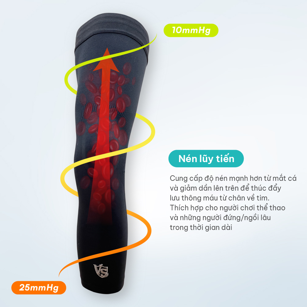 Ống chân dài cung cấp lực nén 10-25mmHg Vital Salveo CJ-6105
