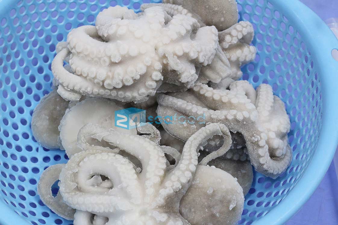 bạch tuộc đông lạnh size lớn nên được bảo quản và rã đông đúng cách