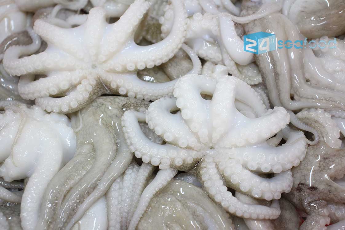 bạch tuộc đông lạnh được rã đông tốt như hàng tươi lúc ban đầu