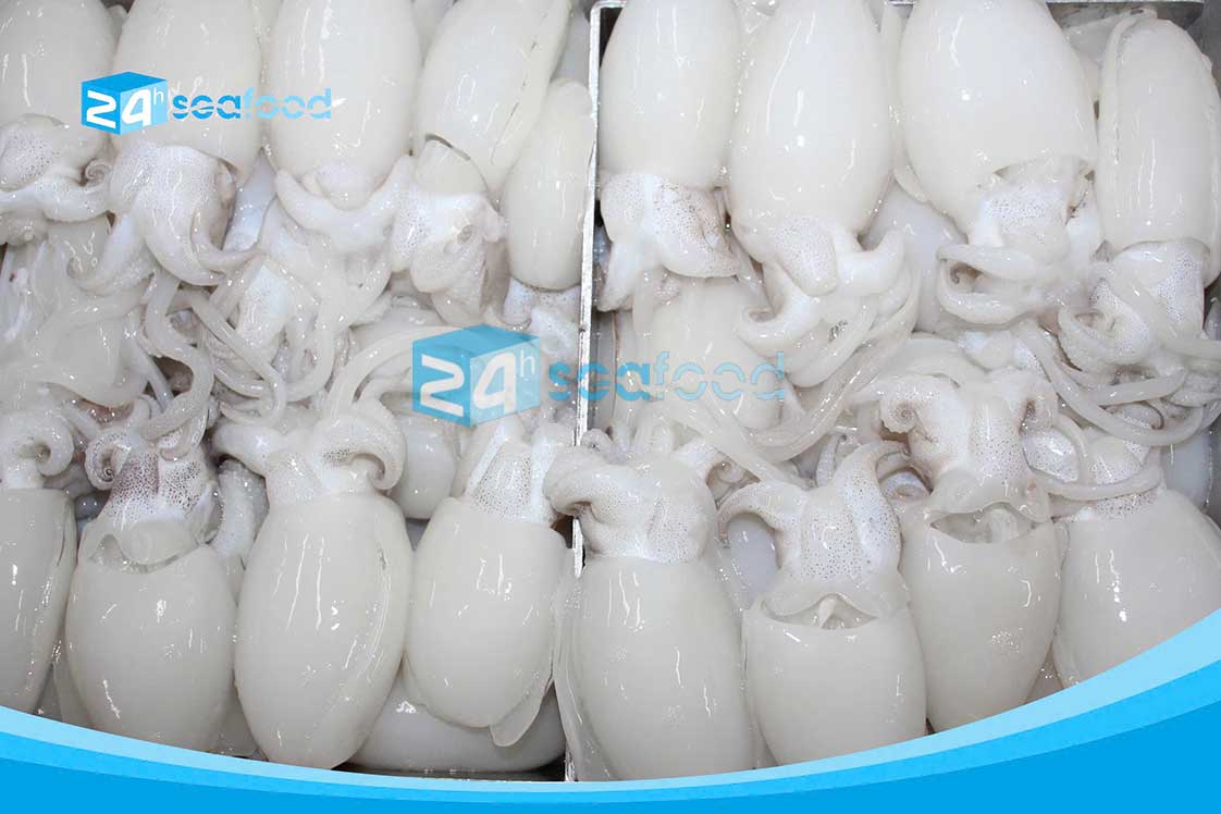 mực nang nhỏ hay còn gọi là mực nút (mực nang nút)