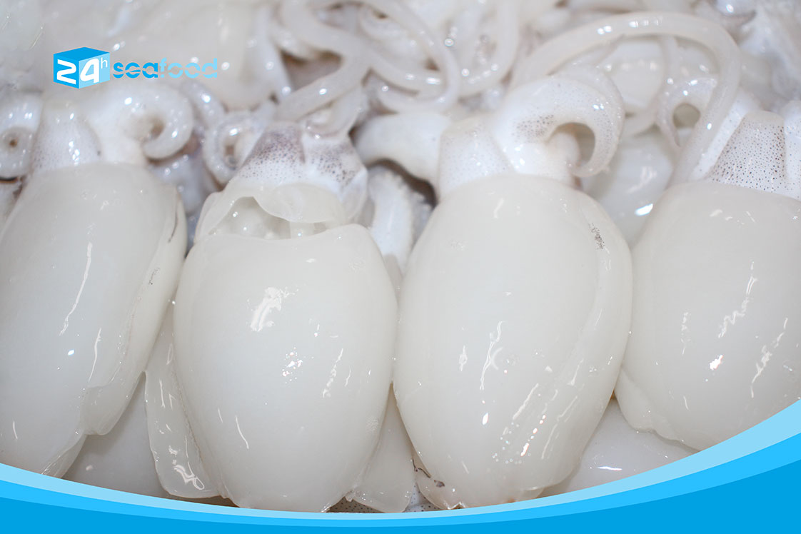 cận cảnh mực nang nhỏ của 24hseafood được rã đông đúng cách, là nguyên liệu hàng đầu cho nhà hàng